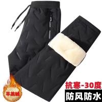 cms/erpbt/backend/web/uploads/erp/collection/images/Men Clothes/LITEWEI/EN0199039/img_b/EN0199039_img_b_3